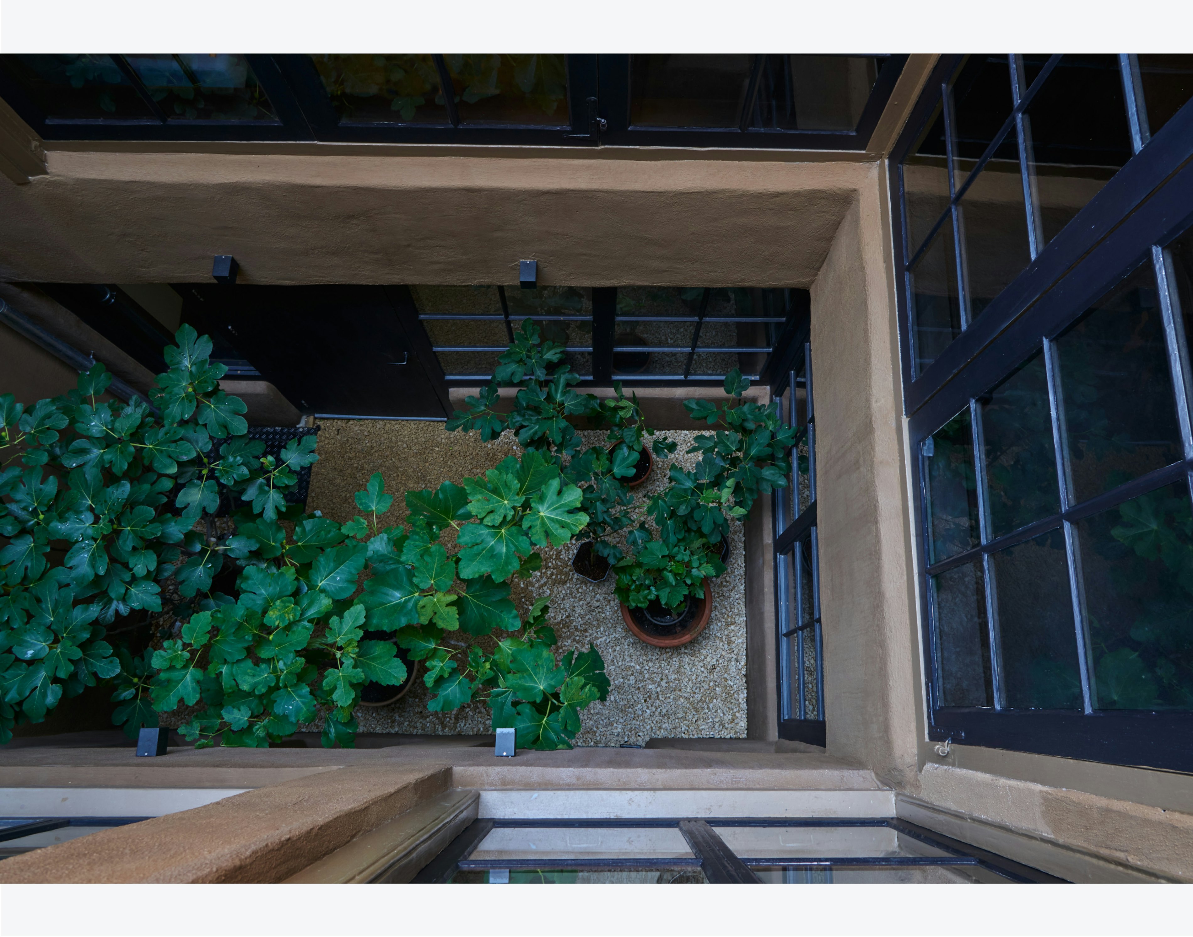 Patio 1